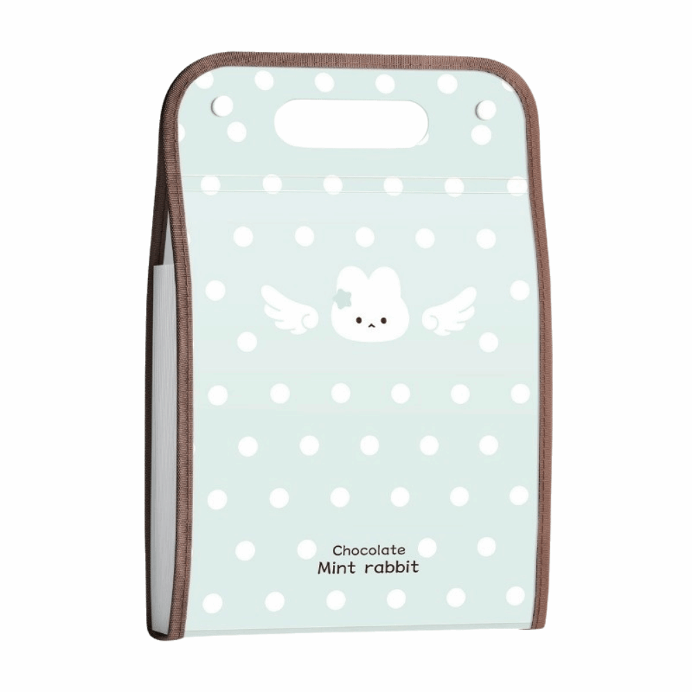 Expandable Polka Point Expandi - огляд і ціна Expandable Accordion File Folder 13 Pockets